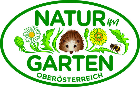 $data['details']['name']