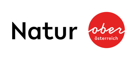 $data['details']['name']