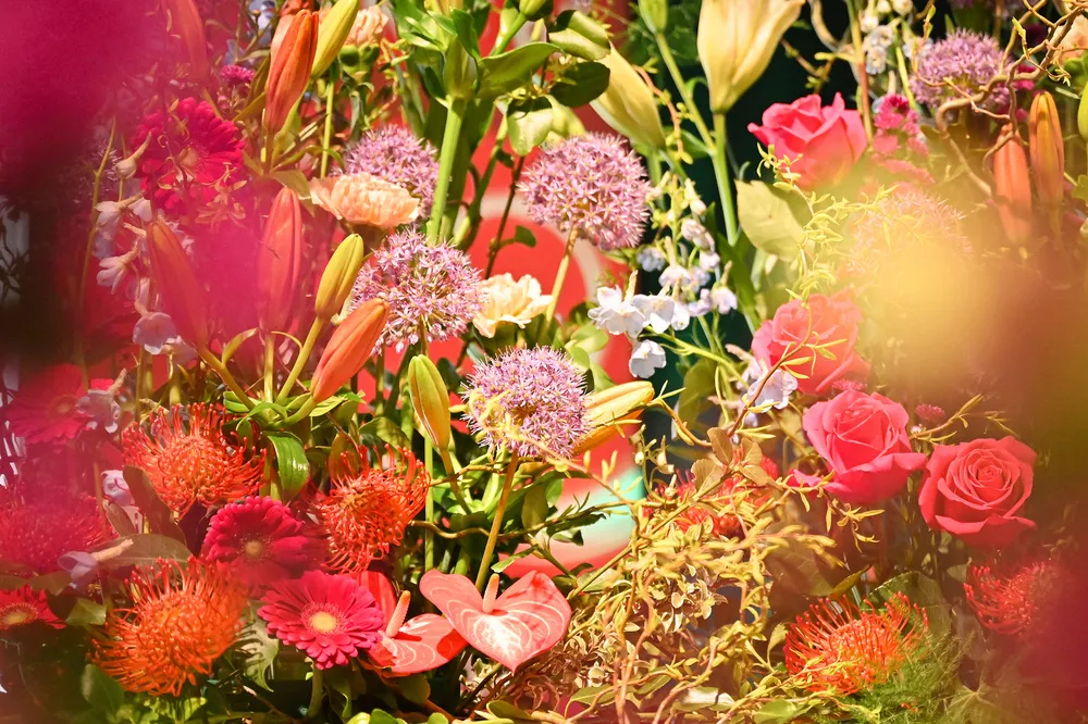 Blühendes Österreich 2025