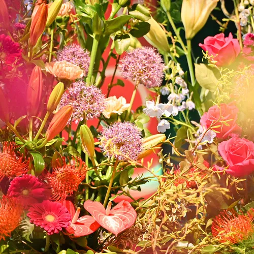 BlühÖ25_QuelleMesseWels (4).jpg