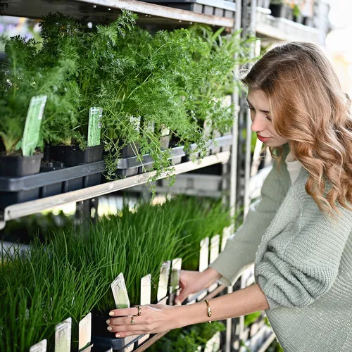 BlühÖ25_QuelleMesseWels (7).jpg