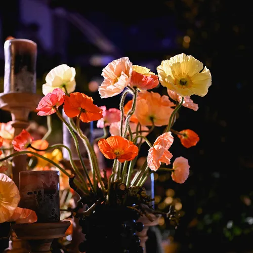 BlühÖ25_QuelleMesseWels (9).jpg