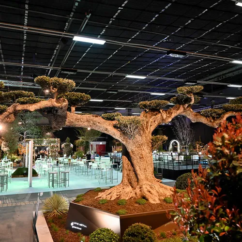 BlühÖ25_QuelleMesseWels (16).jpg