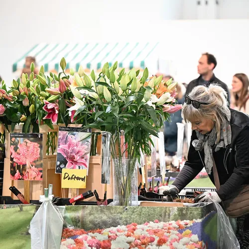 BlühÖ25_QuelleMesseWels (20).jpg