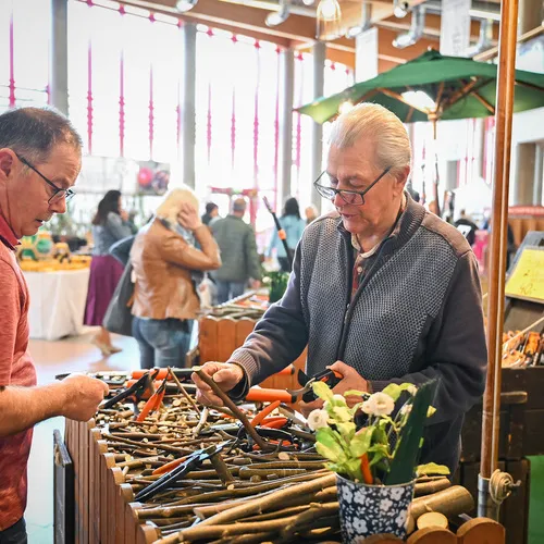 BlühÖ25_QuelleMesseWels (32).jpg