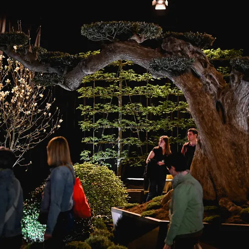 Messegeschehen_QuelleMesseWels (8).jpg