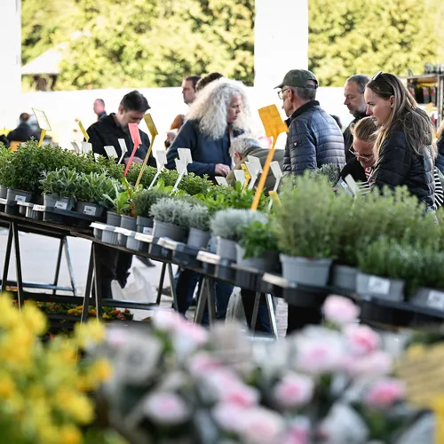 Messegeschehen_QuelleMesseWels (35).jpg