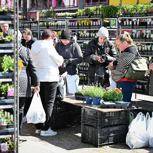 Messegeschehen_QuelleMesseWels (34).jpg