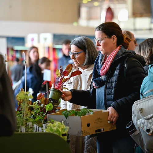 Messegeschehen_QuelleMesseWels (32).jpg