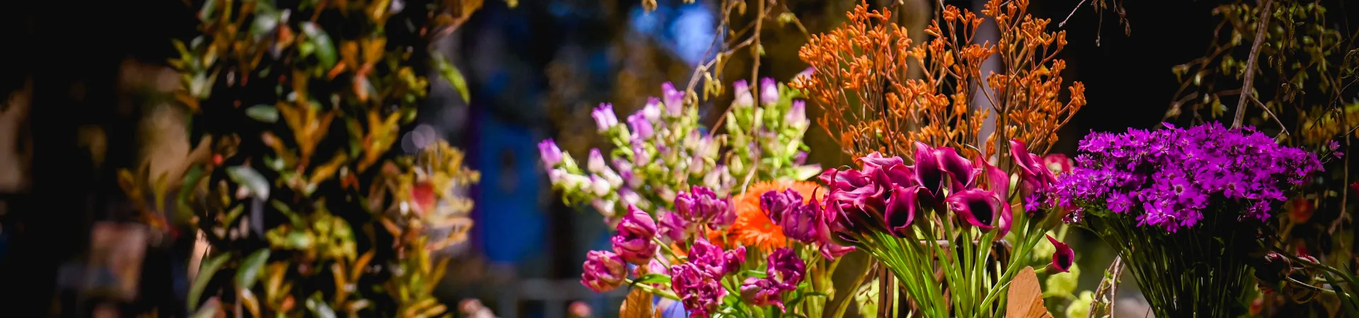 Headerbilder Website (10).png