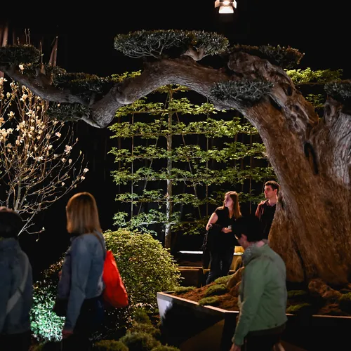 BlühÖ26_Messegeschehen_QuelleMesseWels (5).jpg