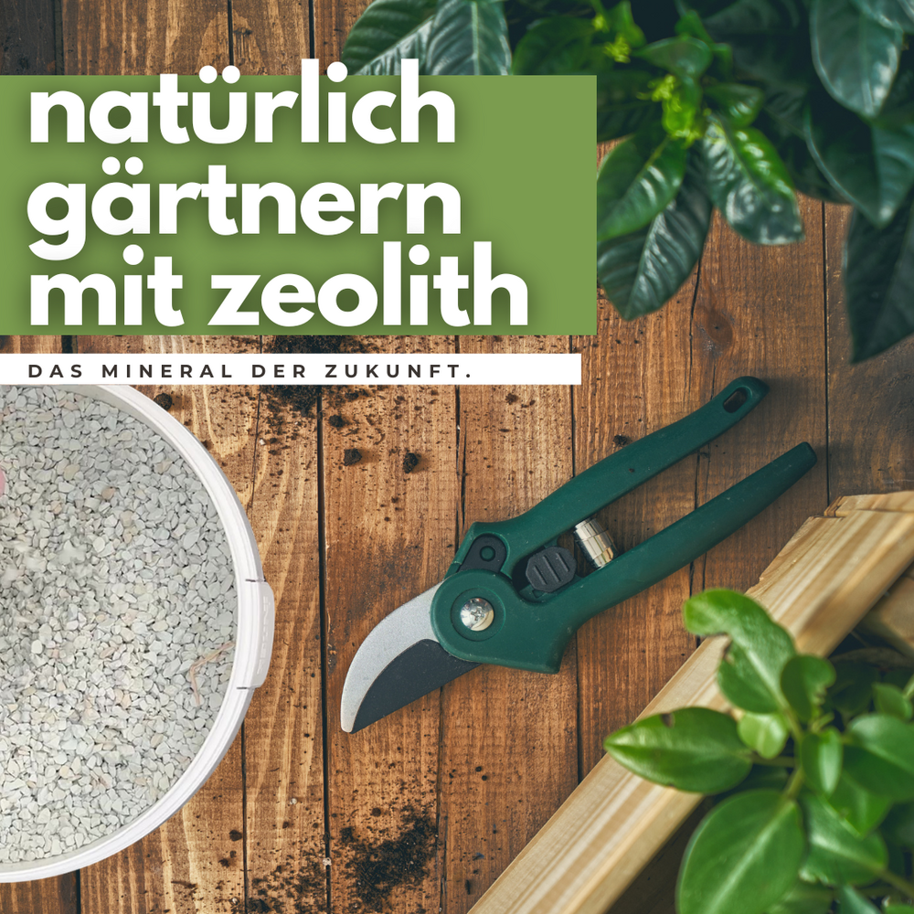 Lithos Natural - Natürliche Lösungen für Haus & Garten