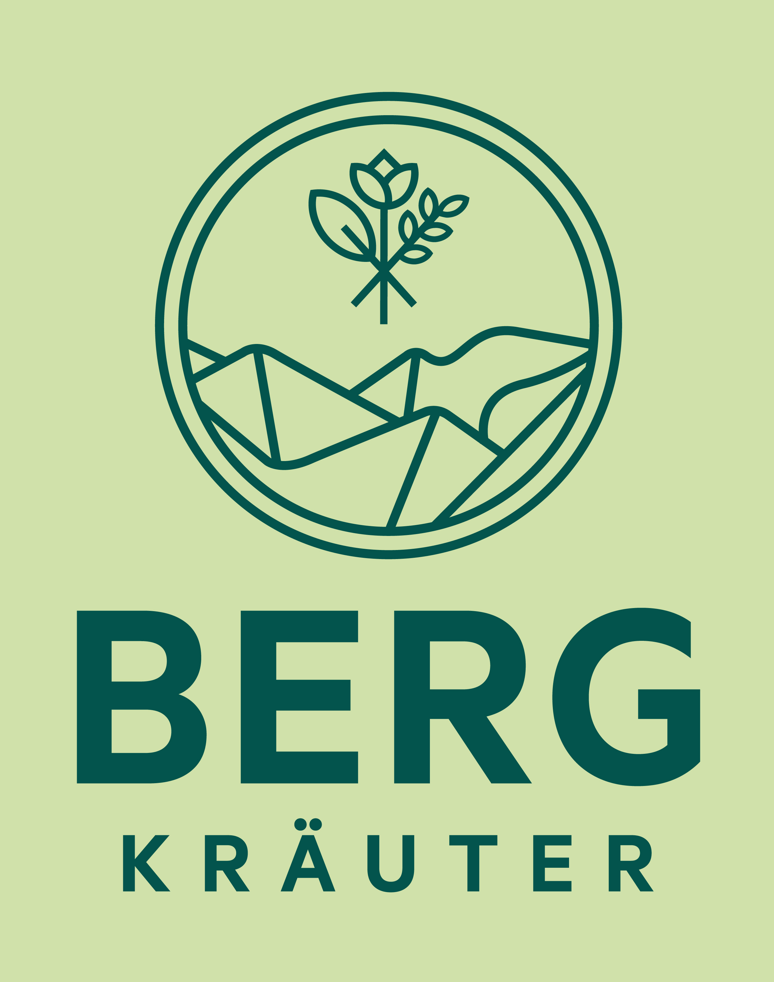 $data['details']['name']