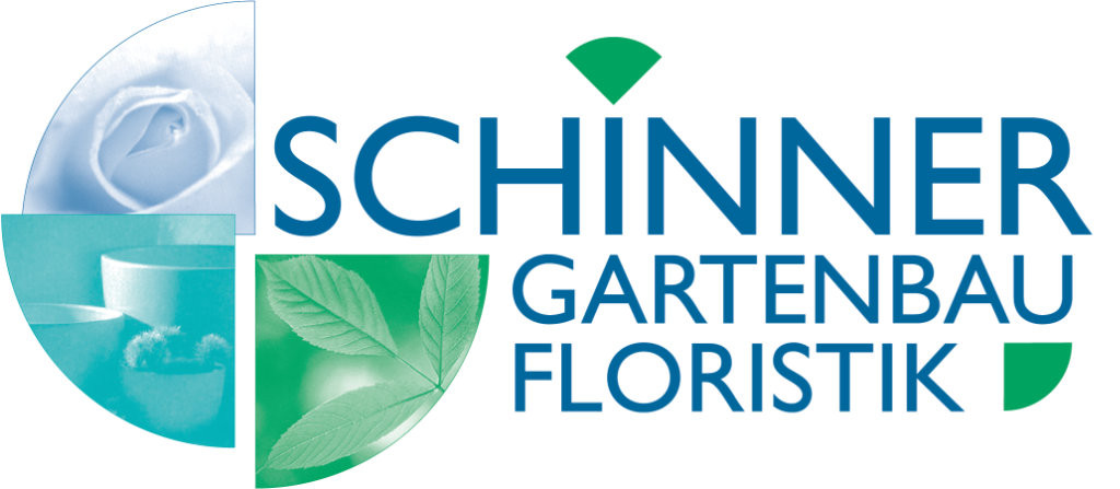 $data['details']['name']