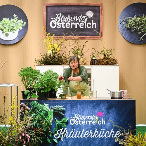 BlühÖ26_Kräuterküche_MesseWels.jpg