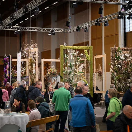 BlühÖ26_Meisterfloristen_MesseWels_MesseWels.jpg