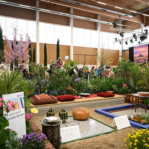 BlühÖ26_MarokkoGartenBrocks_MesseWels.jpg
