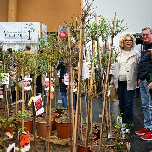 BlühÖ26_Pflanzen_MesseWels.jpg