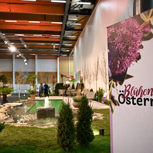 BlühÖ26_Matula_MesseWels (7).jpg