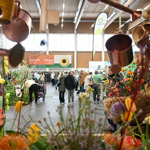 BlühÖ26_Messegeschehen_MesseWels (2).jpg