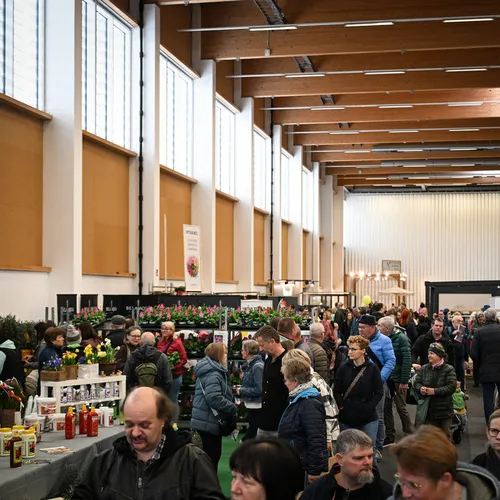 BlühÖ26_Messegeschehen_MesseWels (5).jpg