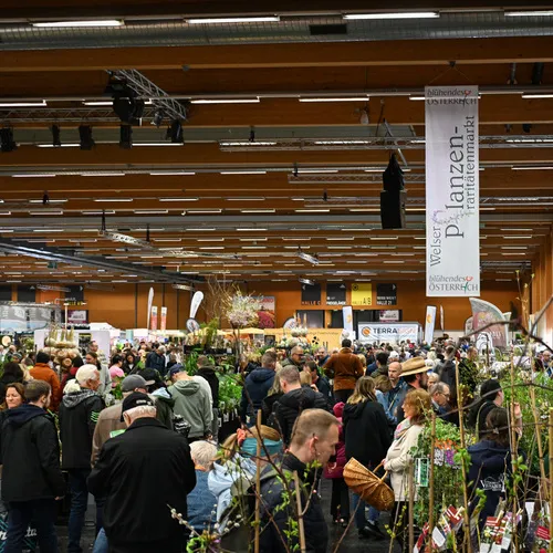 BlühÖ26_Pflanzenraritätenmarkt_MesseWels(2).jpg