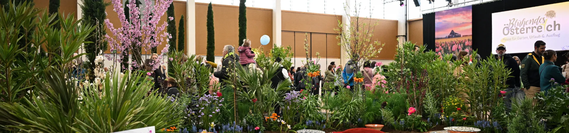 Headerbilder Website (2).png