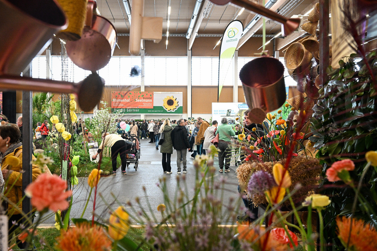 BlühÖ26_Messegeschehen_MesseWels (2).jpg